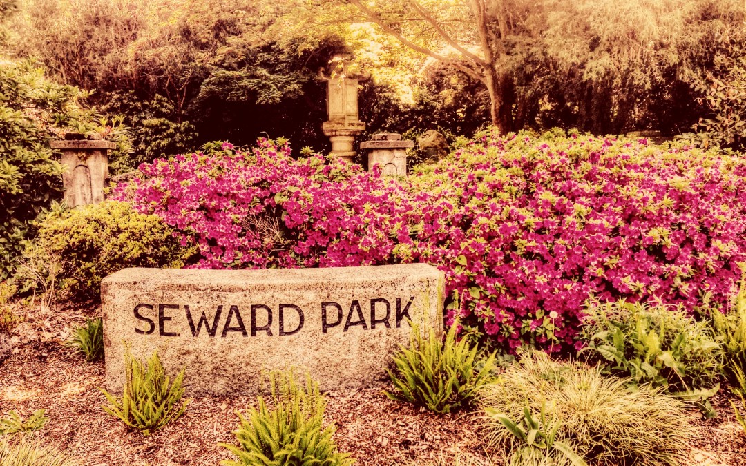 Seward Park